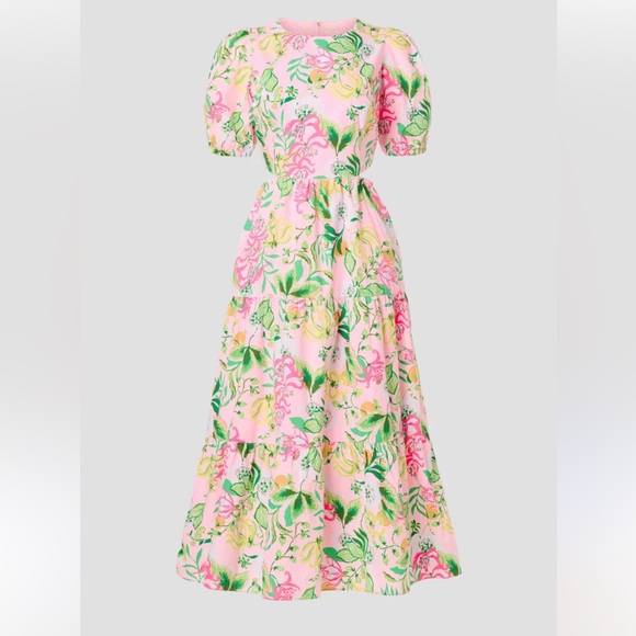 Lilly Pulitzer Lyssa Cotton Midi Dress - Picture 11 of 14